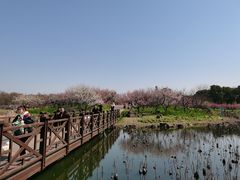 -上海海湾国家森林公园