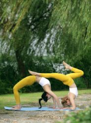 点击看大图 -亚太瑜伽普拉提学院