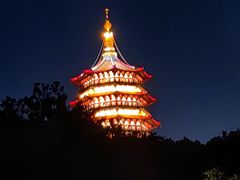 -西湖外事游船(湖滨二公园外事游船码头)