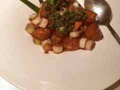 西郊5号-西郊5号·Maggie 5