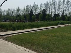 -前小桔亲子创意农场·草莓采摘·露营烧烤