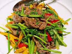 黄贡椒炒牛腱芯-黄鱼馆Jhouse(外滩店)