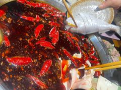 -大龙火锅(老店)