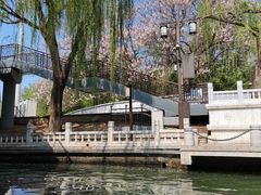 -皇家御河游(紫御湾码头)