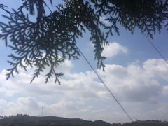 -白塔山公园