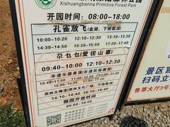 -西双版纳原始森林公园