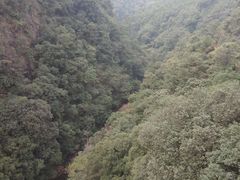 -九龙江国家森林公园