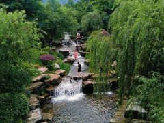 -桃花岭景区