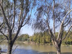 -上海长兴岛郊野公园