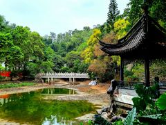 -深圳国际园林花卉博览园