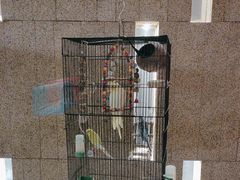 -华夏良子·足道SPA艾灸(翠微店)
