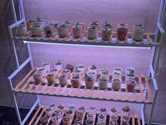 -富力希尔顿酒店·地阔自助餐厅