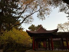 -青城公园