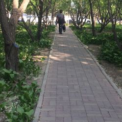 点击看大图 -利美奇发型