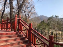 -紫金山山顶公园