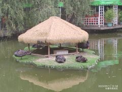 -大鹅岛绿色生态美食园