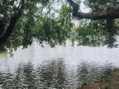 -珠海圆明新园