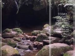-赤水丹霞旅游区·佛光岩