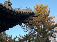 -张掖大佛寺景区