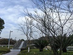 -院士公园