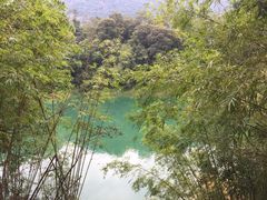 -广州市流溪河国家森林公园