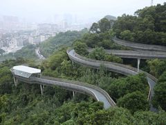 -福道