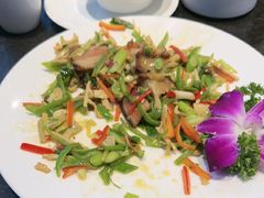 -东哥紫阳蒸盆子(旺座·现代城店)