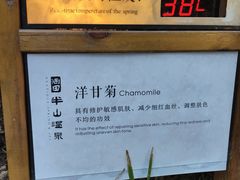 -天目湖涵田半山温泉
