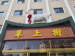门面-羊上树(南门外店)