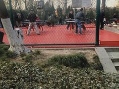 -西安市长乐公园