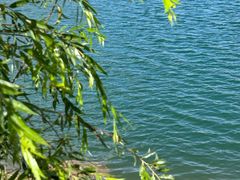 -仙海旅游度假区