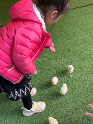 点击看大图 -萌宠亲子动物乐园(槐房万达店)