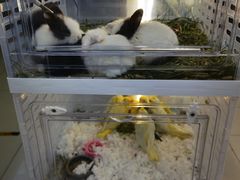 -三旗百汇商品城