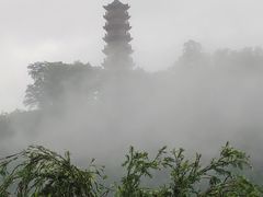 -南沙蒲洲花园
