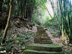 -缙云山景区