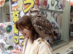 -秋叶原电器街
