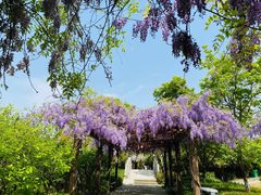 -白马涧龙池景区