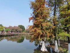 -海珠湖公园