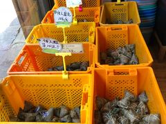 -真真老老(月河花鸟市场店)