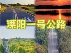 -紫藤园·天目湖大鱼头(南山竹海店)
