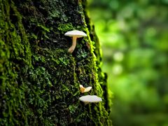 -玉渡山自然风景区