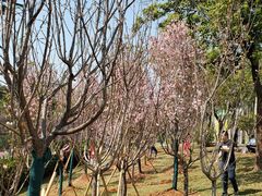 -观澜湖生态运动公社