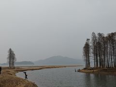 -四明湖