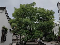 -鸣鹤古镇