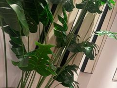 -沐善人家中医·推拿·理疗·三伏灸(新洲店)