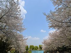 -堤角公园