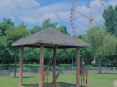 -石家庄市动物园