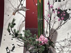 -杭州植物园