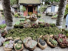 -寂照庵