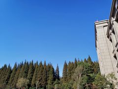 -金岛生态园烧烤露营地